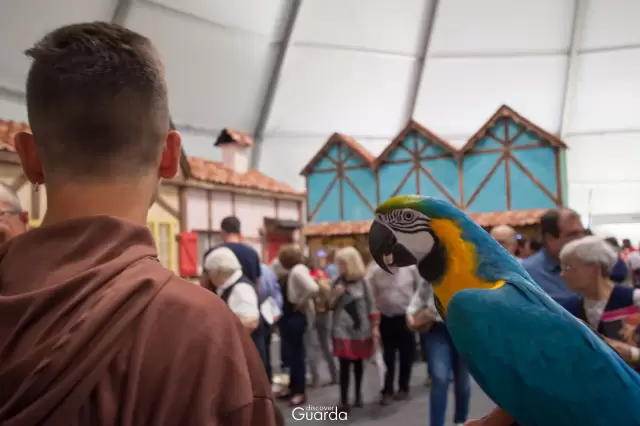 Feira Ibérica de Turismo - 6.ª Edição - 2019