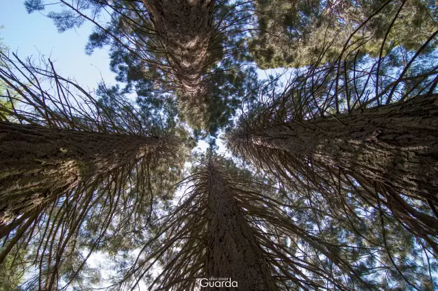 Parque da Saúde (foto de 2013)