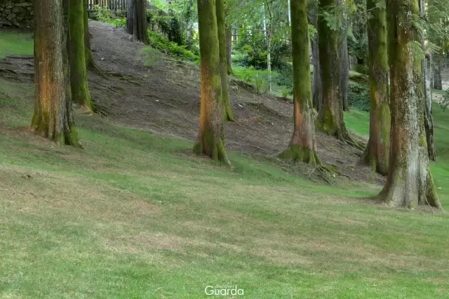 Parque Municipal (foto de 2018)