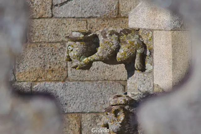 Sé Catedral - Pormenor de Gárgula (foto de 2017)